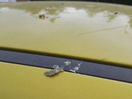 Ez még nincs letojva – Ford festéktesztek Ford festéktesztek